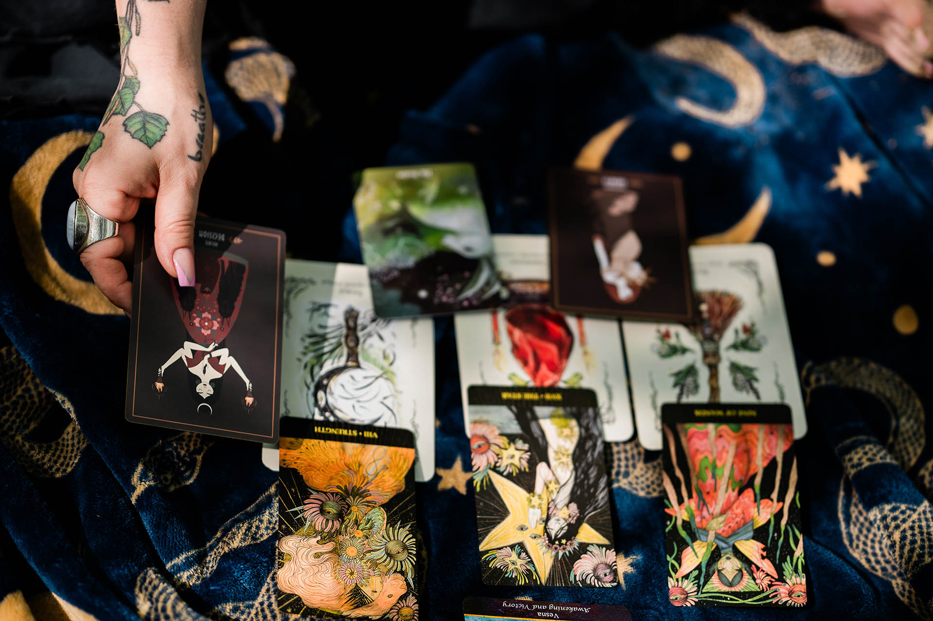 Tarot cards photograph